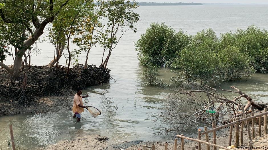 India: How water crisis is haunting Sundarban residents – DW – 03/17/2023 - Vimarsana News