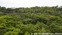 19.05.2022
SANTA ANA , EL SALVADOR - MAY 19: Aerial view of a forest landscape in Santa Ana, El Salvador, on May 19, 2022. The United Nations proclaimed May 22 as International Day for Biological Diversity to increase understanding and awareness of biodiversity issues. Alex Pena / Anadolu Agency