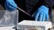 Policial faz teste para verificar grau de pureza de um bloco de cocaína no Equador Policial faz teste para verificar grau de pureza de um bloco de cocaína no Equador