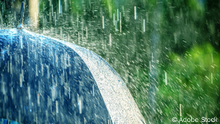 Summer Rain Storm Under Umbrella. Summer Rainy Weather