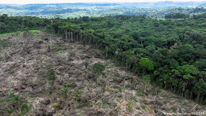 Участок расчищенного тропического леса на Амазонке недалеко от Уруары, в бразильском штате Пара.