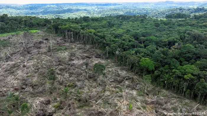 Brasilian Para | Amazonas | Entwaldung