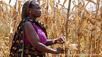 A farmer in Morogoro, Tanzania, shows the effects of drought on her maize crop. She is enrolled in a farmer field school to learn about improved, drought tolerant maize varieties, organized by Tanzanian seed company Tanseed International Limited, with support from CIMMYT's Drought Tolerant Maize for Africa (DTMA). http://www.flickr.com/photos/cimmyt/5190627819/ Photo credit: Anne Wangalachi/CIMMYT. +++CC/ CIMMYT+++ am 25.6.2008 aufgenommen im April 2011 geladen Lizenz: http://creativecommons.org/licenses/by-nc-sa/2.0/deed.de