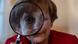 Katharina Thalbach as the fictional version of Angela Merkel Katharina Thalbach as the fictional version of Angela Merkel