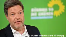 民调：德国绿党支持率跌至13%