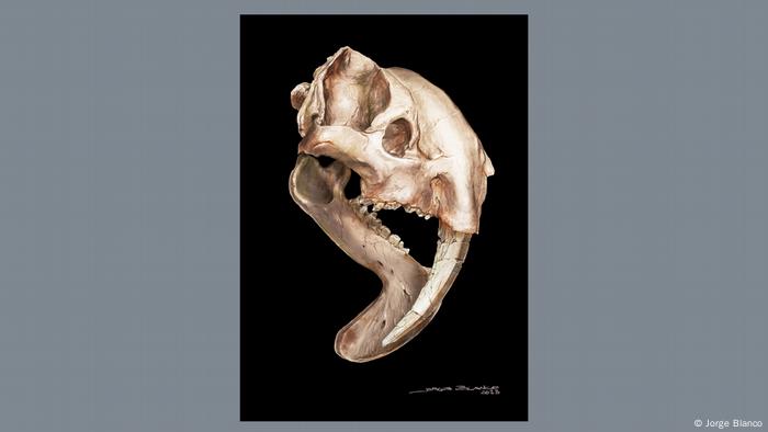 T. atrox. marsupial