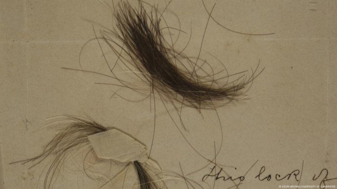Dos mechones autentificados de pelo de Beethoven, conocidos como los mechones Bermann y Halm-Thayer, revelaron niveles asombrosos de plomo por gramo de pelo. Dos mechones autentificados de pelo de Beethoven, conocidos como los mechones Bermann y Halm-Thayer, revelaron niveles asombrosos de plomo por gramo de pelo.