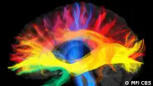 März 2023, Forschung Bunt dargestellte Sprachnetzwerke im Gehirn.