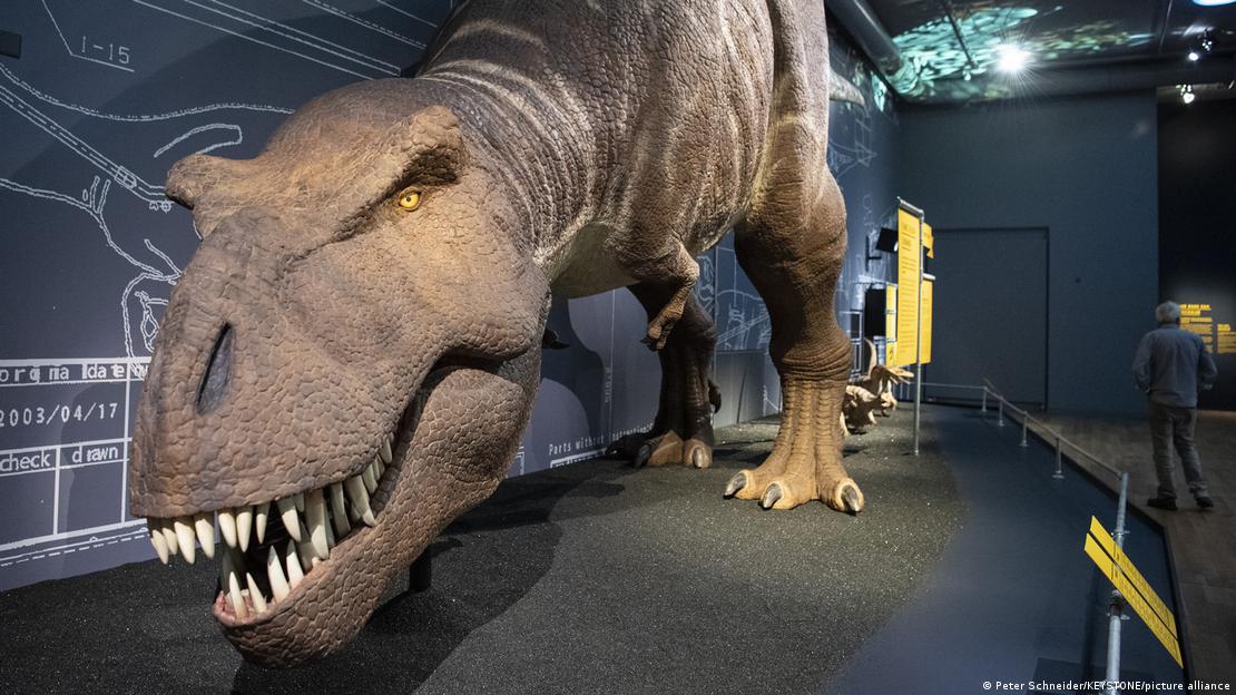 T-Rex em museu de história natural. 