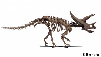 Bonhams Natural History Auction 2023