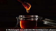 Honig mit einem natürlichen Holzstab auf schwarzem Hintergrund