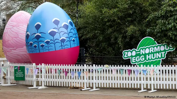Easter eggs lined up at London Zoo