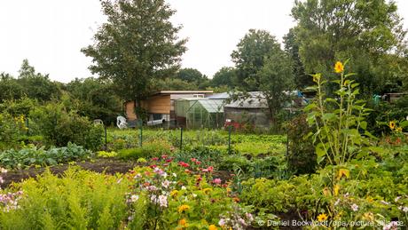 Wer in Deutschland einen Schrebergarten haben will, muss Geduld haben: Die Wartelisten sind meistens lang.