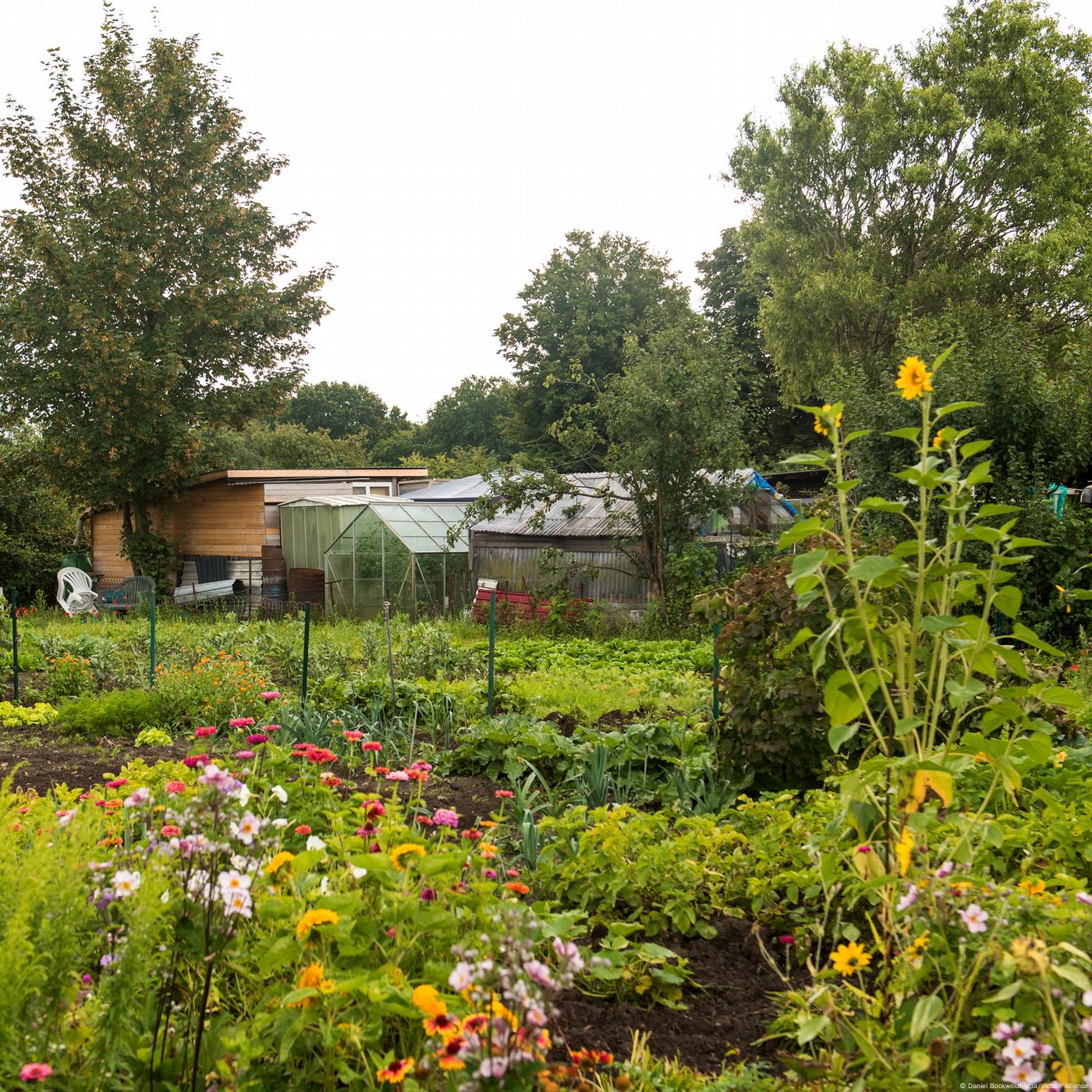 Der Traum vom eigenen Schrebergarten