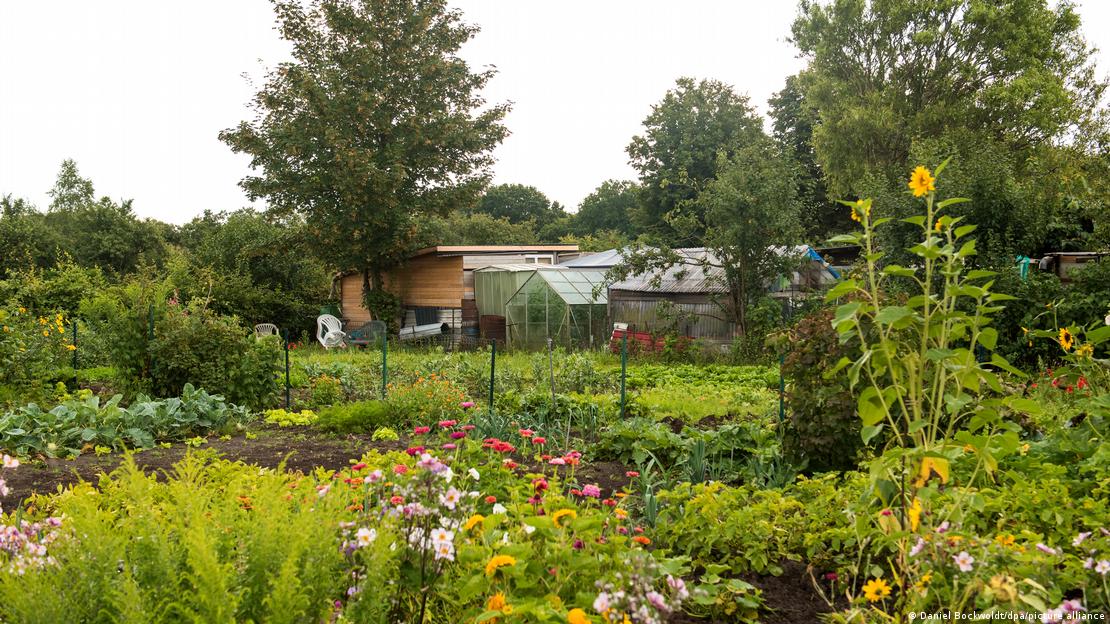 „Шребер-градинa“