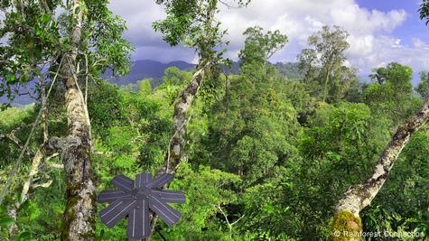 Sensores acústicos alimentados por energía solar en el bosque: pueden registrar el ruido de las motosierras hasta 1,5 kilómetros de distancia. Sensores acústicos alimentados por energía solar en el bosque: pueden registrar el ruido de las motosierras hasta 1,5 kilómetros de distancia.