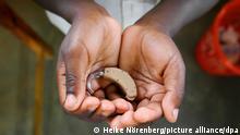 HANDOUT - Der hörgeschädigte afrikanische Jungen Flaxon hält in Bukoba (Tansania) sein neues Hörgerät in den Händen. Die Handwerksmeisterin engagiert sich seit fünf Jahren in der Entwicklungshilfe und versorgt behinderte Kinder in Ostafrika mit Hightech-Hörgeräten. Foto: Heike Nörenberg/dpa (zu dpa-Korr _Energie für kleine Ohren - Hörakustikerin hilft in Afrika_ vom 28.01.2014) ++ +++ dpa-Bildfunk +++