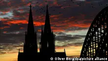 20.03.2019, Nordrhein-Westfalen, Köln: Vor einem bewölkten Abendhimmel in den Farben rot, blau und gelb, fliegen Vögel am Kölner Dom vorbei. Foto: Oliver Berg/dpa +++ dpa-Bildfunk +++
