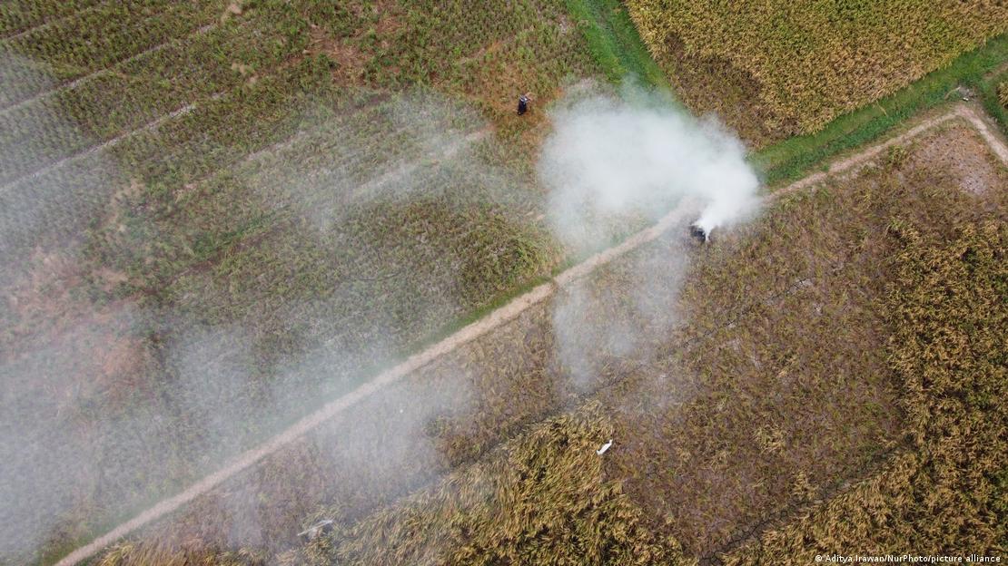 Aerial view of the white smoke clouds from burning paddy stubble in fields by farmers in Wanasari village, Bekasi district, West Java province