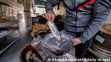 In this picture taken on April 11, 2023, a fish monger packages salted mullet fish known in Egypt as fessikh for a customer at a shop in the town of Nabarah, near Egypt's northern Nile Delta city of Mansoura, ahead of the traditional secular holiday of Sham el-Nessim (celebrated on Easter Monday). (Photo by Khaled DESOUKI / AFP) (Photo by KHALED DESOUKI/AFP via Getty Images)