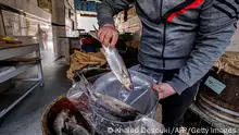 نبروه.. قلعة الفسيخ في مصر منذ أكثر من مئة عام