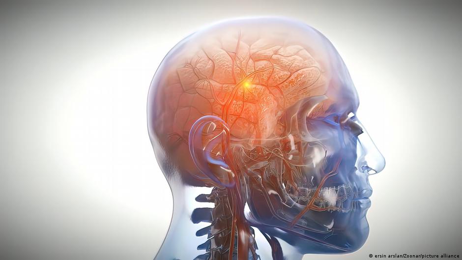 Prenos informacija na ćelijskom nivou u mozgu