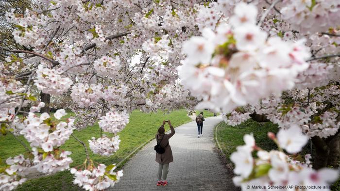 BdTD Deutschland | Frühling in Berlin
