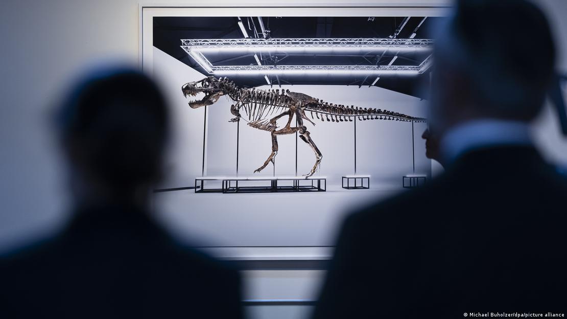 Dos personas ante un esqueleto de T. Rex.