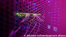 Grüne LEDs leuchten nach der Vorstellung einer Studie zur Situation der Informations- und Kommunikationstechnikbranche in Hessen in einem Rechenzentrum der Telehouse Deutschland GmbH in einem Serverraum.