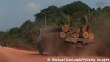 22.09.2022
A trucks drives carrying timber along the BR-230 (Transamazonica) highway in Manicoré, Amazonas state, Brazil on September 22, 2022. (Photo by MICHAEL DANTAS / AFP) (Photo by MICHAEL DANTAS/AFP via Getty Images)