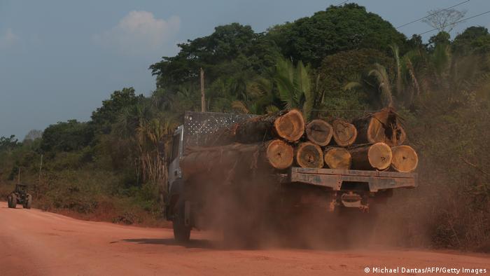 Transporte de árboles talados en la Amazonía.