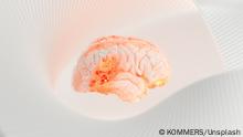 Künstliche gegen menschliche Intelligenz – wer kann was?