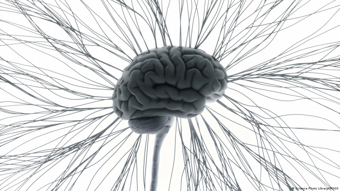 El corazón, el estómago y el cerebro conversan sin parar, aunque nadie los escuche. El corazón, el estómago y el cerebro conversan sin parar, aunque nadie los escuche.
