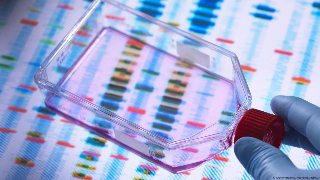 Cientista visualizando células em um frasco de cultura com perfis de DNA.