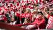 Köln-Fans halten ihre Schals hoch Köln-Fans halten ihre Schals hoch