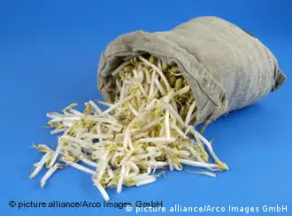 豆芽可能是埃希大肠杆菌疫情的病源