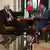 Frank-Walter Steinmeier and Justin Trudeau in chairs facing each other