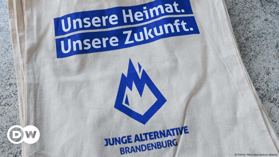 AfD und die Jungwähler: Zukunftsangst und Enttäuschung