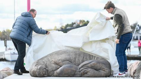 Noruega arrecada US$ 20.000 para erguer estátua da morsa Freya - ISTOÉ  Independente