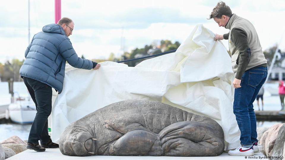 Escultura de morsa sacrificada é inaugurada na Noruega – DW – 29