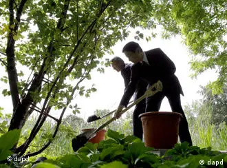 German President Christian Wulff, left, and Japanese Crown Prince Naruhito, right, symbolicly plant a cherry tree in the garden of the Bellevue Palace in Berlin, Germany, Wednesday, June 22, 2011. Naruhito stays in Germany for a four-day visit to attend events marking the 150th anniversary of the Japan-Germany amity treaty. (Foto:Michael Sohn/AP/dapd)