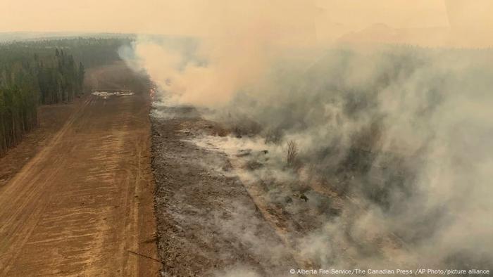 Am linken Bildrand Wald daneben ein Streifen braune Erde, auf der rechten Hälfte ist verbrannte, noch rauchende Erde zu sehen