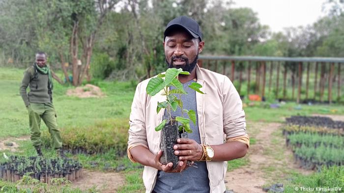 Thuku Kariuku, freier Reporter für das DW-Format Eco Afrika hält in einem Garten einen Pflanzensetzling in der Hand 