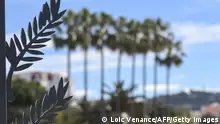 May 13, 2019**Palms, similar to the Palme d'Or, are seen in front of a view of the city of Cannes on May 13, 2019, on the eve of the opening of the 72nd Cannes Film Festival in Cannes, southeastern France. - This year's Cannes Film Festival is running from May 14th until May 25th. (Photo by LOIC VENANCE / AFP) (Photo by LOIC VENANCE/AFP via Getty Images)