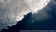 01/08/2017**A drop of water falls off an iceberg melting in the Nuup Kangerlua Fjord near Nuuk in southwestern Greenland, Tuesday ,Aug. 1, 2017. The iceberg calved off a glacier from the Greenland ice sheet, the second largest body of ice in the world which covers roughly 80 percent of the country. Greenland's glaciers have been melting and retreating at an accelerated pace in recent years due to warmer temperatures. If all of that ice melts, sea levels will rise by several meters, though there will be regional differences. (AP Photo/David Goldman)