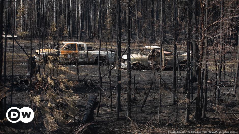 Wildfires are slowly waning in Western Canada – DW – 05/11/2023