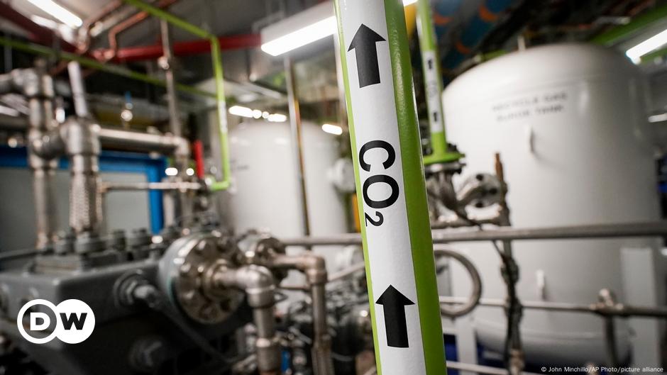 Mikroben verwandeln CO2 rasend schnell in Gestein