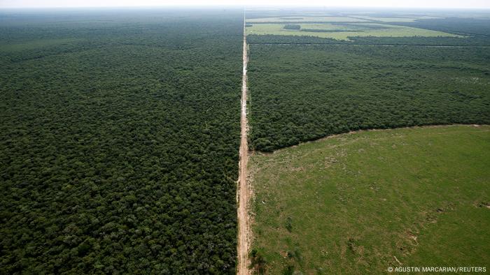 Toma aérea del Gran Chaco, en territorio argentino. 