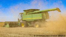 Ein Mähdrescher erntet Getreide auf einem Feld in der Region Odessa im Süden der Ukraine. Günstiges Getreide aus der Ukraine bereitet östlichen EU-Staaten zufolge Landwirten zunehmend Probleme. +++ dpa-Bildfunk +++