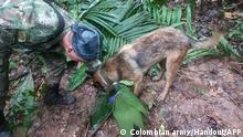A handout picture released by the Colombian army shows a soldier with a dog checking a pair of scissors found in the forest in a rural area of the municipality of Solano, department of Caqueta, Colombia, on May 17, 2023. More than 100 soldiers with sniffer dogs are following the trail of four missing children in the Colombian Amazon after a small plane crash that killed three adults, the military said Wednesday. (Photo by Handout / Colombian army / AFP) / RESTRICTED TO EDITORIAL USE - MANDATORY CREDIT AFP PHOTO / COLOMBIAN ARMY - NO MARKETING - NO ADVERTISING CAMPAIGNS - DISTRIBUTED AS A SERVICE TO CLIENTS